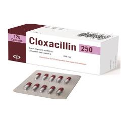 CLOXACILLIN